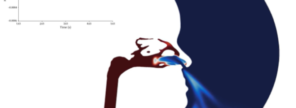 Highlights from SCONA 2023 – CFD of the Nose and Airway